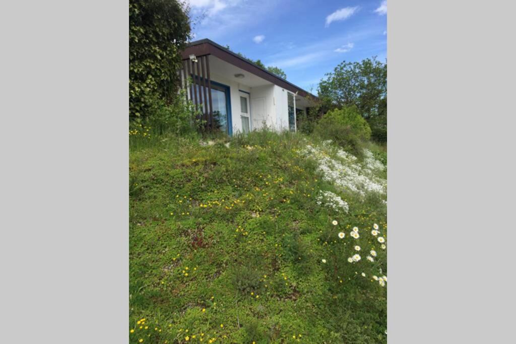 Idyllisch Wohnen Im Weserbergland - Bungalow Mit Phantastischer Aussicht Fuer 4 Personen Polle Dış mekan fotoğraf